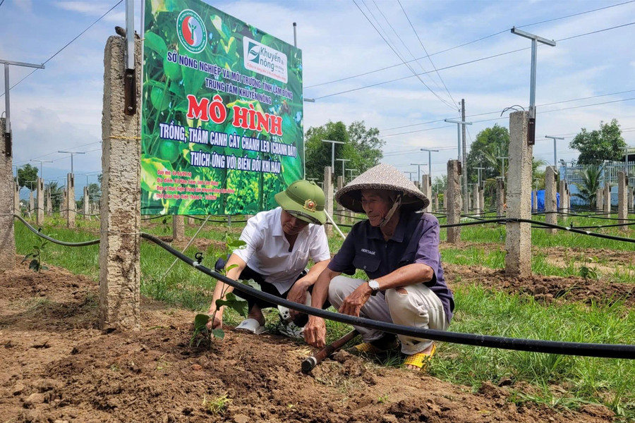 Hiệu quả chuyển đổi cây trồng vùng Đông Nam Link vào