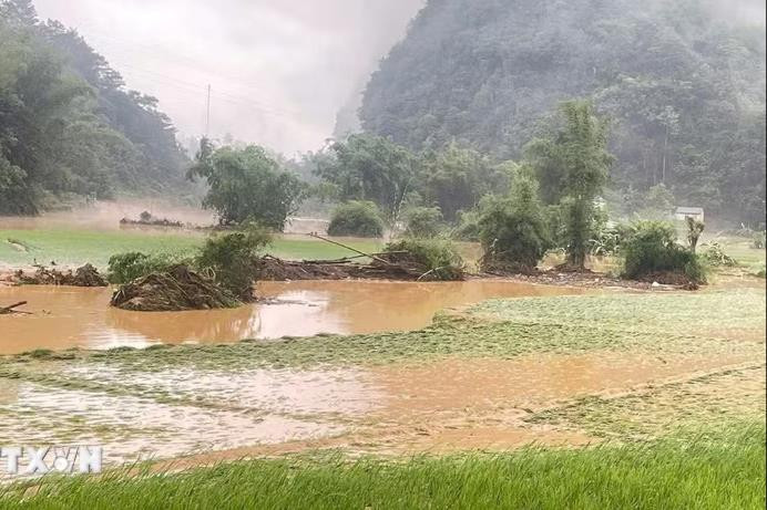 Thời tiết ngày 29/7: Mưa dông diện rộng, nhiều nơi mưa to đến rất to