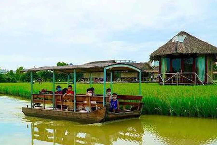 Các trường hợp phải nộp thuế sử dụng đất phi nông nghiệp