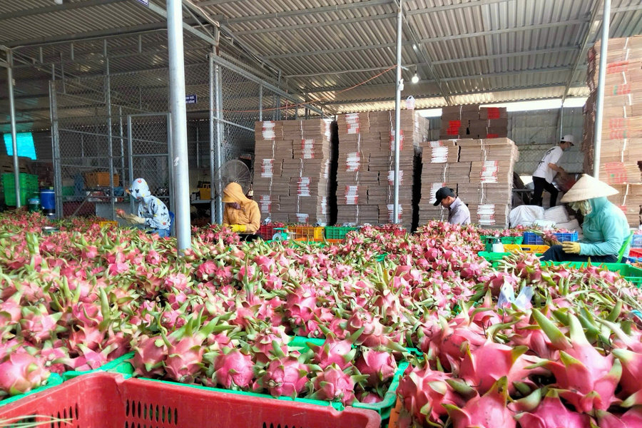Khoa học, công nghệ tiếp sức hợp tác xã phát triển