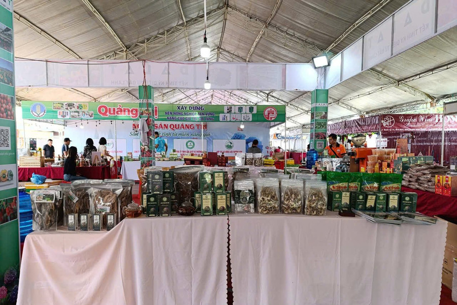 Science and Technology Drive Cooperative Development
