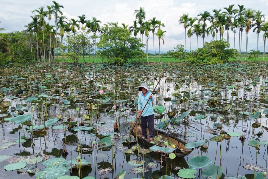 Sức sống mới từ lòng dân đồng thuận