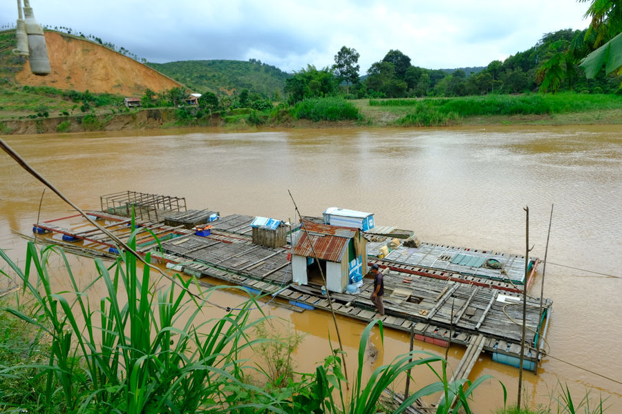 Sinh kế giúp người dân Cát Tiên 2 đổi thay cuộc sống