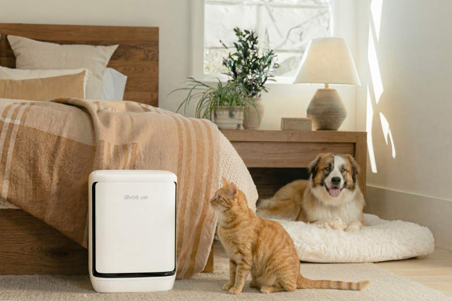Máy lọc không khí Levoit Vital Pet Pro có gì đặc biệt để giải quyết triệt để lông và mùi thú cưng?