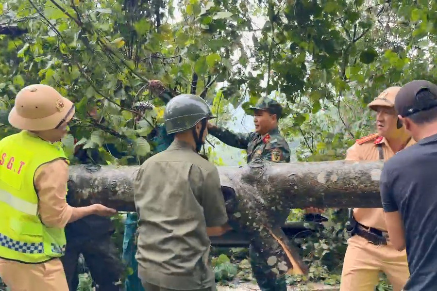Lâm Đồng kịp thời xử lý gãy cây, sạt lở, bảo đảm giao thông thông suốt