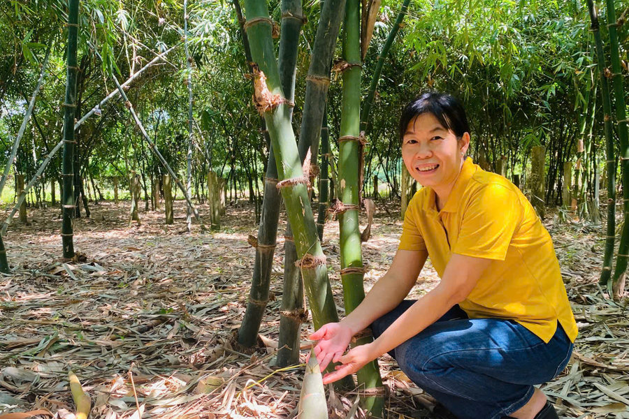 Hải Ninh mở hướng phát triển mới cho kinh tế nông nghiệp