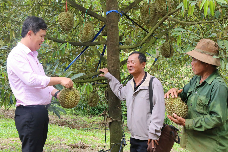 Lam Dong Unlocks Credit to Drive Growth