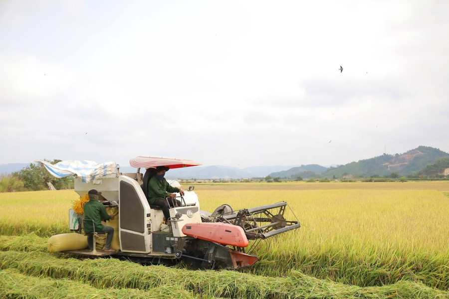 Cát Tiên 3 chạy đua giữ mùa vàng