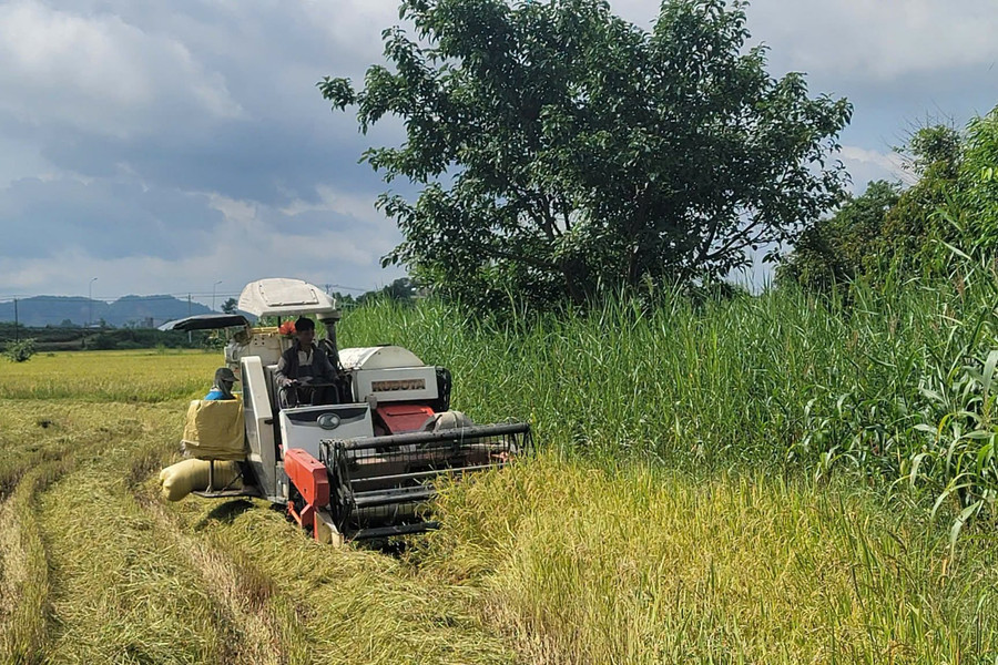 Cat Tien 3 races against time to save the rice harvest