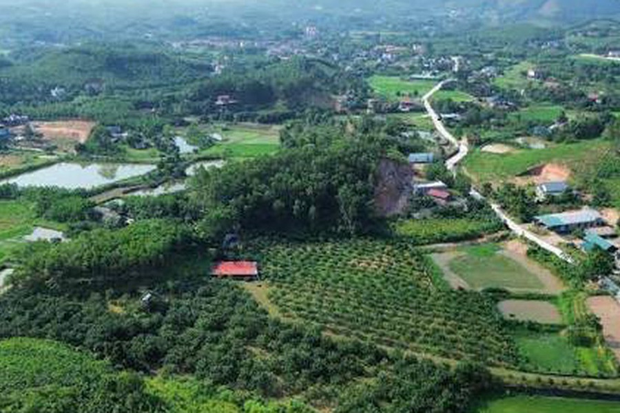 Thủ tục chuyển mục đích đất rừng sản xuất để làm nhà máy