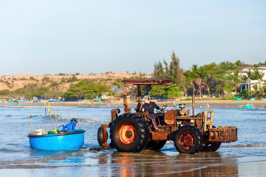 Sức sống mới trên những miền quê