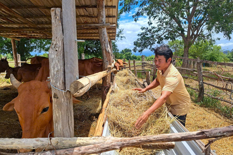 Trưởng thôn trẻ Thổ Văn Liền mở hướng làm giàu từ nông nghiệp