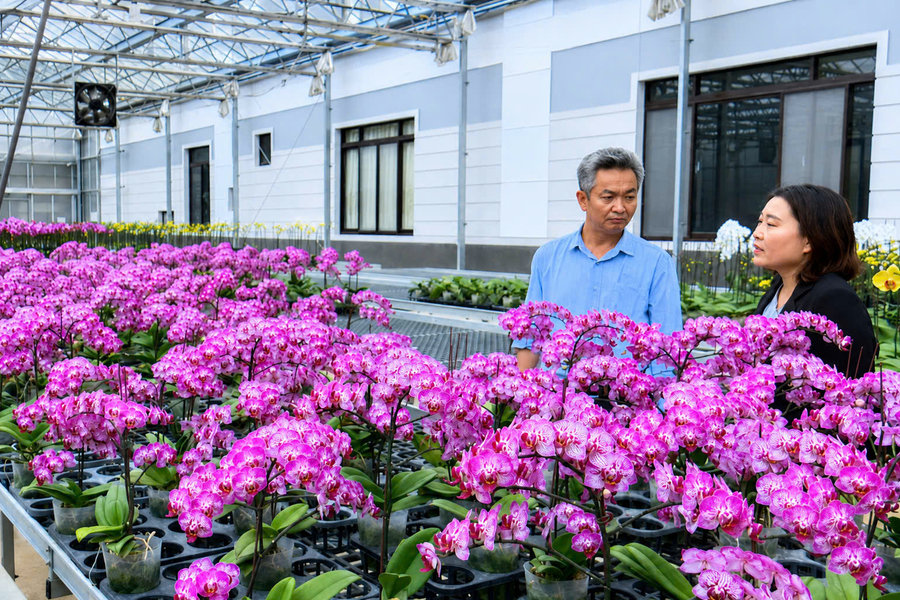 Hiệp Thạnh bứt phá từ nông nghiệp công nghệ cao