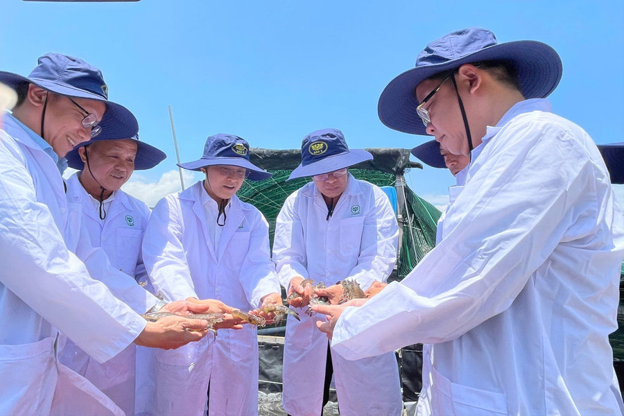 Phó Chủ tịch UBND tỉnh Nguyễn Minh tham quan mô hình nuôi tôm công nghệ cao ở Hòa Thắng