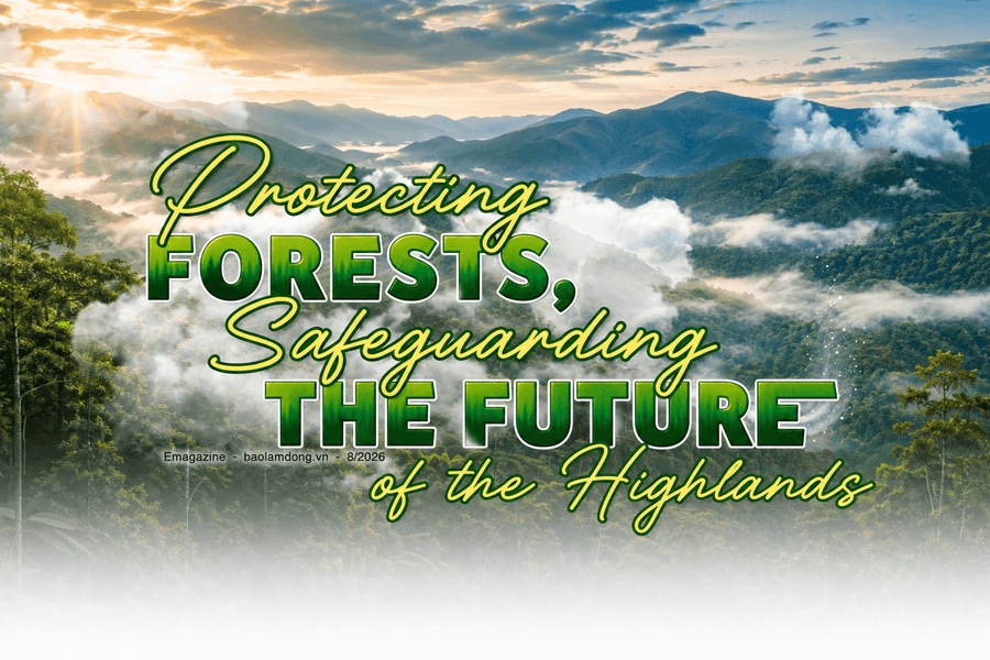 Protecting Forests, Safeguarding the Future of the Highlands