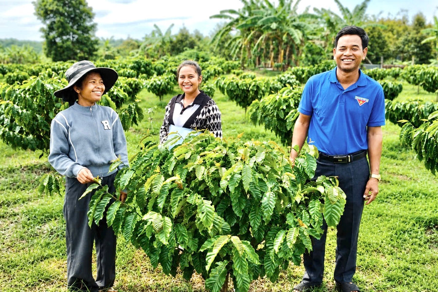 Thanh niên mạnh dạn khởi nghiệp bằng những mô hình mới