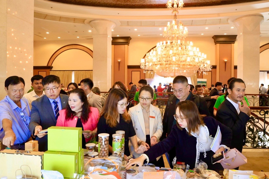 Making the private sector a strategic driver of growth