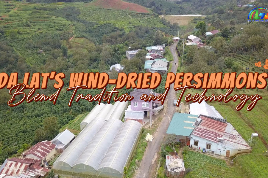 Da Lat’s Wind-Dried Persimmons Blend Tradition and Technology