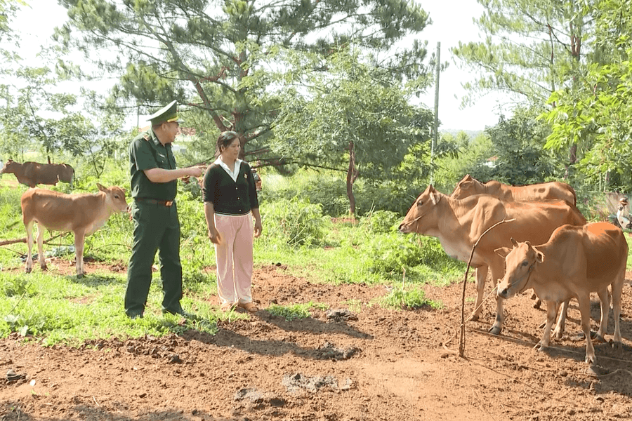Bộ đội Lâm Đồng trao sinh kế, giúp dân thoát nghèo
