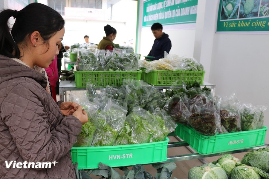 Giảm thuế 30% để tiếp thêm nguồn lực cho hộ kinh doanh và hỗ trợ tiêu dùng