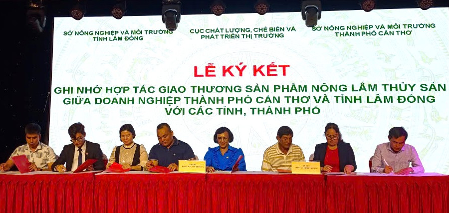 Lam Dong promotes market linkages for agricultural, forestry and fishery products