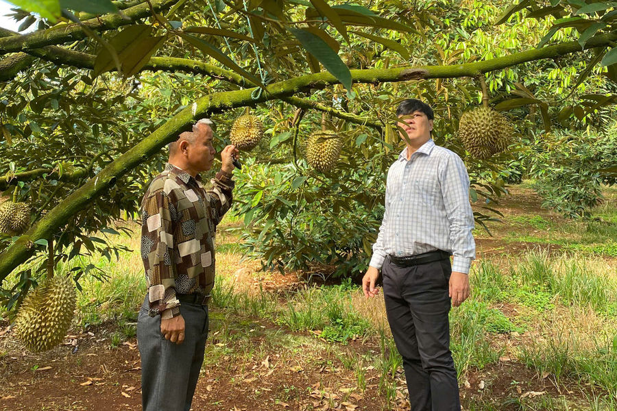 Lam Dong clears two major bottlenecks in agricultural exports