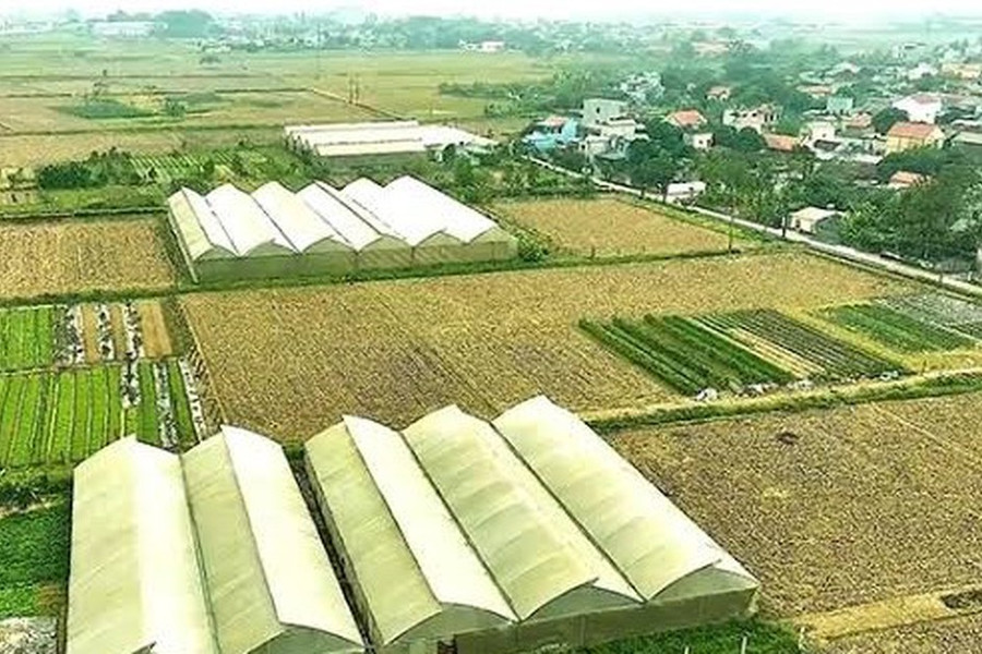 Điều kiện chuyển mục đích sử dụng đất sau dồn điền đổi thửa