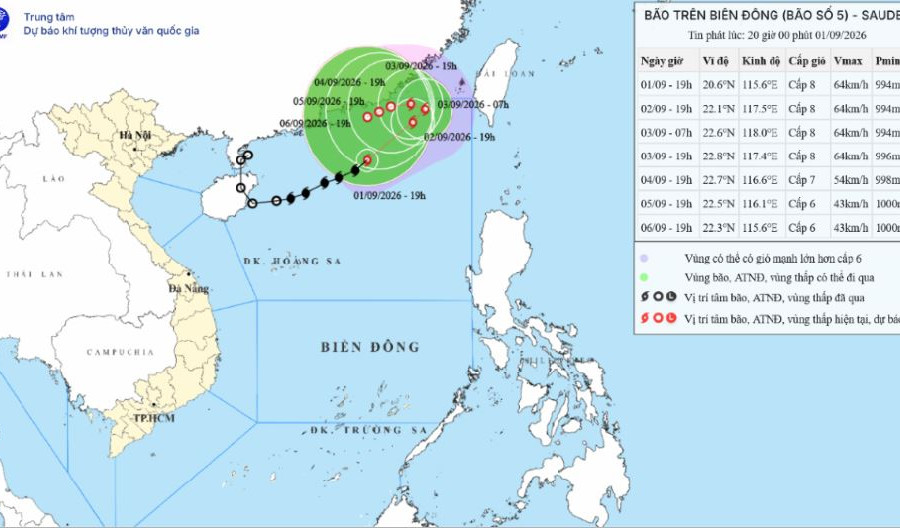 Tin bão số 5 trên Biển Đông ngày 01/09/2026: Sức gió giật cấp 10, sóng biển dâng cao đến 6m