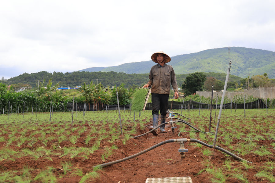 Hạ tầng vùng chuyên canh: Từ cứng hóa đến hiện đại hóa