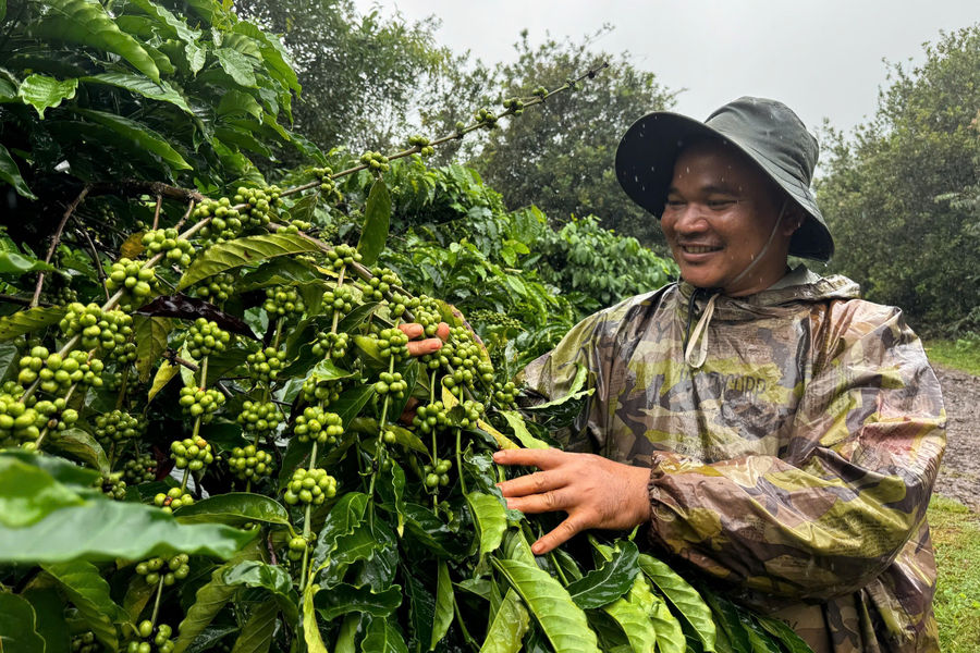 Khi người trẻ đổi cách làm trên đất quê hương