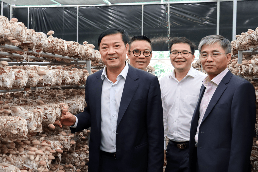 Cần nhân rộng những mô hình sản xuất hiệu quả ở Đam Rông 1