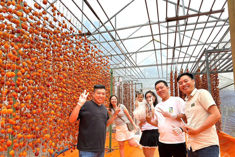Tạo “giá trị kép” cho hồng ăn trái
