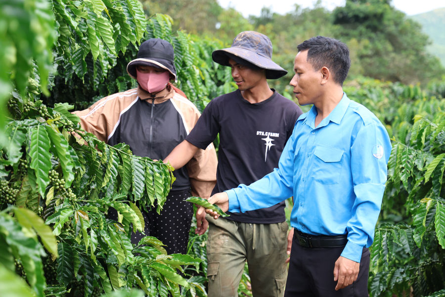 Tiếp vốn, tiếp sức thanh niên Lâm Đồng lập nghiệp