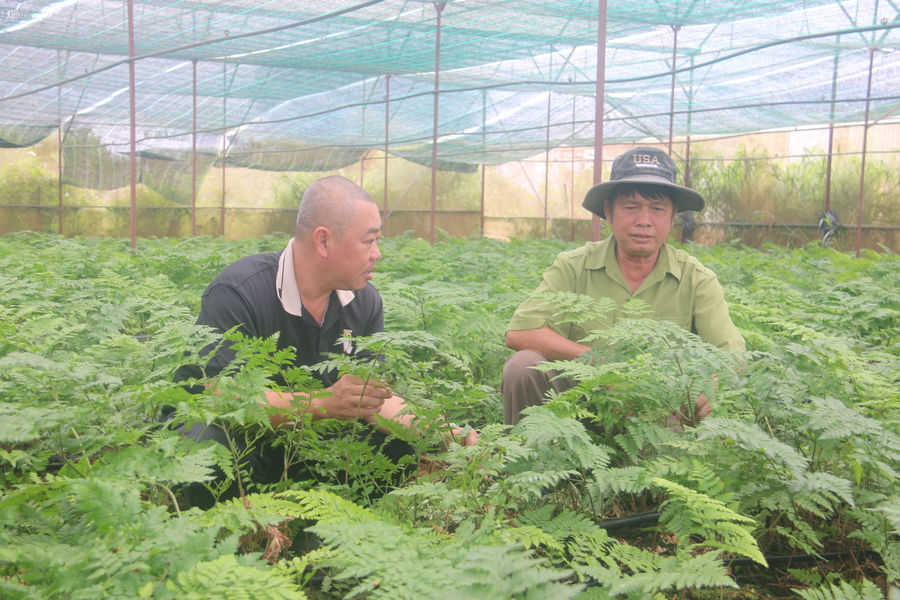 Người cựu chiến binh với hành trình làm giàu trên đất mới