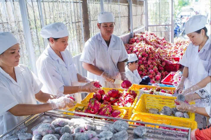 Phát huy vai trò hợp tác xã trong tái cơ cấu nông nghiệp