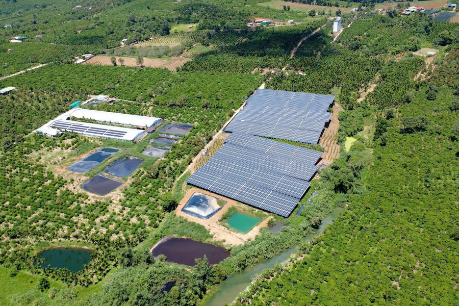 Harnessing rooftop sunshine to power greener production